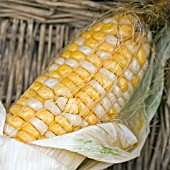 SWEETCORN