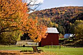 FALL COLOURS IN RICHMOND, VERMONT, USA, OCTOBER