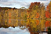 FALL COLOURS OUTSIDE BURLINGTON, VERMONT, USA, OCTOBER