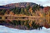 FALL COLOURS OUTSIDE BURLINGTON, VERMONT, USA, OCTOBER