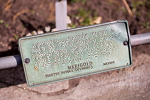 MARIGOLD_METAL_PLANT_LABEL_WITH_BRAILLE