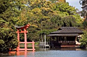 JAPANESE GARDEN IN BROOKLYN BOTANIC GARDEN, NEW YORK