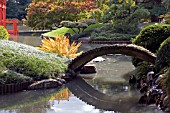 JAPANESE GARDEN IN BROOKLYN BOTANIC GARDEN, NEW YORK