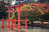 JAPANESE GARDEN IN BROOKLYN BOTANIC GARDEN, NEW YORK