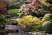 JAPANESE GARDEN IN BROOKLYN BOTANIC GARDEN, NEW YORK