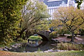 CENTRAL PARK, NEW YORK, OCTOBER