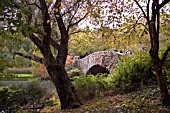 CENTRAL PARK, NEW YORK, OCTOBER