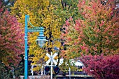 TRAIN CROSSROADS IN AUTUMN, BURLINGTON, VERMONT