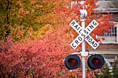 TRAIN CROSSROADS IN AUTUMN, BURLINGTON, VERMONT