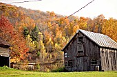 FALL COLOURS IN VERMONT