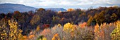 FALL COLOURS IN VERMONT