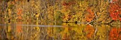 FALL COLOURS OUTSIDE BURLINGTON, VERMONT, USA, OCTOBER