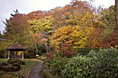 VIEW OF TREES AND BOG GARDEN AT WINTERBOURNE BOTANIC GARDEN