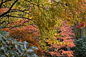 VIEW OF WINTERBOURNE BOTANIC GARDEN