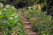 STEPS AT THE DOROTHY CLIVE GARDEN WILLOUGHBY SHROPSHIRE