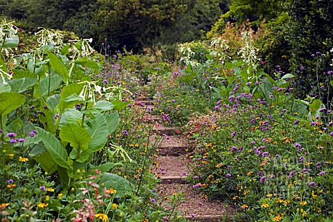 STEPS_AT_THE_DOROTHY_CLIVE_GARDEN_WILLOUGHBY_SHROPSHIRE