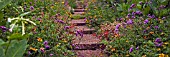 STEPS AT THE DOROTHY CLIVE GARDEN WILLOUGHBY SHROPSHIRE