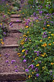 STEPS AT THE DOROTHY CLIVE GARDEN WILLOUGHBY SHROPSHIRE