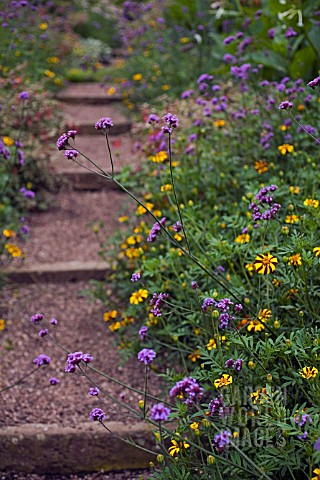 STEPS_AT_THE_DOROTHY_CLIVE_GARDEN_WILLOUGHBY_SHROPSHIRE