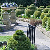 TOPIARY AT MILL DENE GARDEN, BLOCKLEY, GLOUCESTERSHIRE,