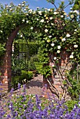 WOLLERTON OLD HALL GARDEN, SHROPSHIRE, JUNE