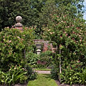 WOLLERTON OLD HALL GARDEN, JUNE