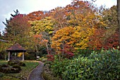 WINTERBOURNE BOTANICAL GARDEN, UNIVERSITY OF BIRMINGHAM, NOVEMBER