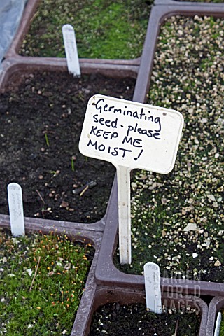 GERMINATING_SEED__PLEASE_KEEP_ME_MOIST_SIGN