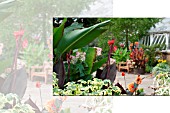 VIEW OF LOUDON TERRACE, BIRMINGHAM BOTANICAL GARDENS AND GLASSHOUSES, SUMMER