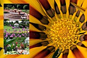 VIEWS OF BIRMINGHAM BOTANICAL GARDENS AND GLASSHOUSES, SUMMER