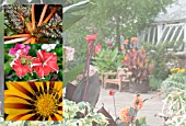 SUMMER VIEW OF LOUDON TERRACE, BIRMINGHAM BOTANICAL GARDENS AND GLASSHOUSES,