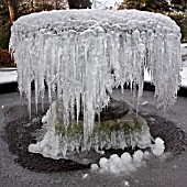 FROZEN FOUNTAIN AT BIRMINGHAM BOTANICAL GARDENS AND GLASSHOUSES