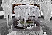 FROZEN FOUNTAIN AT BIRMINGHAM BOTANICAL GARDENS AND GLASSHOUSES, POSTCARD