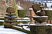 FELLEY PRIORY, NOTTINGHAM, TOPIARY IN SNOW