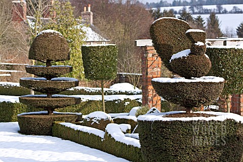 FELLEY_PRIORY_NOTTINGHAM_TOPIARY_IN_SNOW