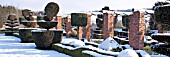 FELLEY PRIORY, NOTTINGHAM, TOPIARY IN SNOW