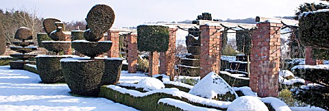 FELLEY_PRIORY_NOTTINGHAM_TOPIARY_IN_SNOW