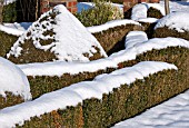 FELLEY PRIORY, NOTTINGHAM, TOPIARY IN SNOW