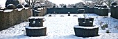 FELLEY PRIORY, NOTTINGHAM, TOPIARY IN SNOW