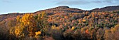 AUTUMN COLOUR IN VERMONT, NEW ENGLAND, USA