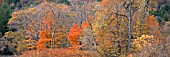 AUTUMN COLOUR IN VERMONT, NEW ENGLAND, USA