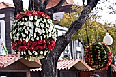 MADEIRA FLOWER FESTIVAL