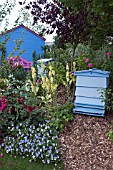 THE TENA ACTIVE LIVING GARDEN, DESIGNED BY YVONNE MATTHEWS, SPONSORED BY TENA, GARDENERS WORLD LIVE 2009