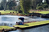 CHILDREN POND DIPPING AT BETH CHATTOS GARDEN