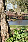 BETH CHATTOS GARDEN IN WINTER