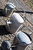 WATERING CAN FAMILY