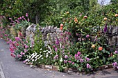 FRONT GARDEN, CRESSAGE, SHROPSHIRE