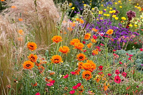 MIXED_PLANTING_IN_RAISED_ALPINE_BED