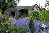 WOLLERTON OLD HALL GARDEN, JUNE