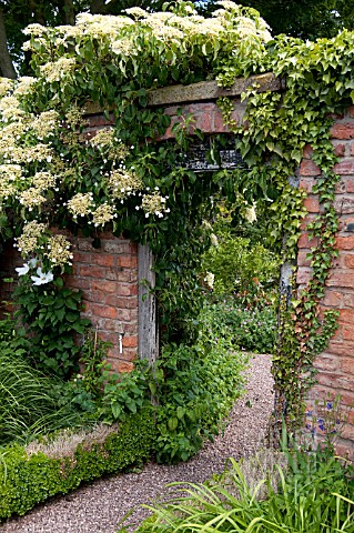 WOLLERTON_OLD_HALL_GARDEN_JUNE